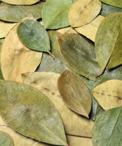 Where to buy coca leaves in Canada